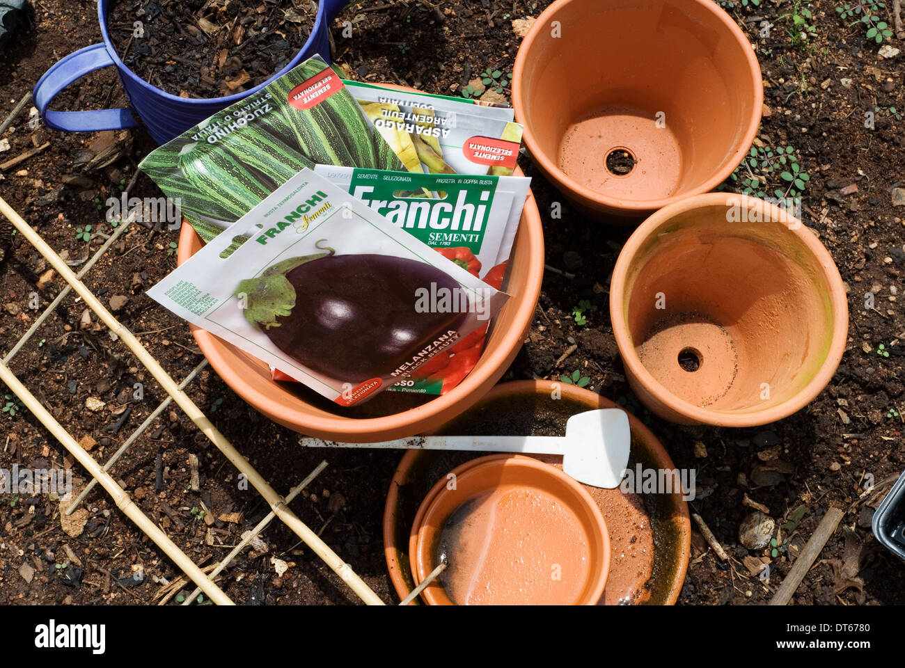 Concetto di giardinaggio, le sementi di ortaggi pacchetti con la piantagione di pentole e suolo all'esterno. Foto Stock