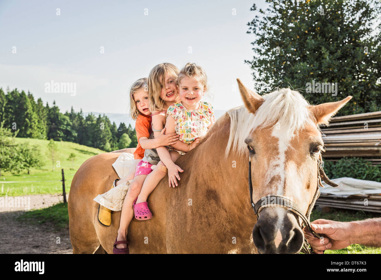Tre giovani ragazze seduta sul cavallo palomino Foto Stock