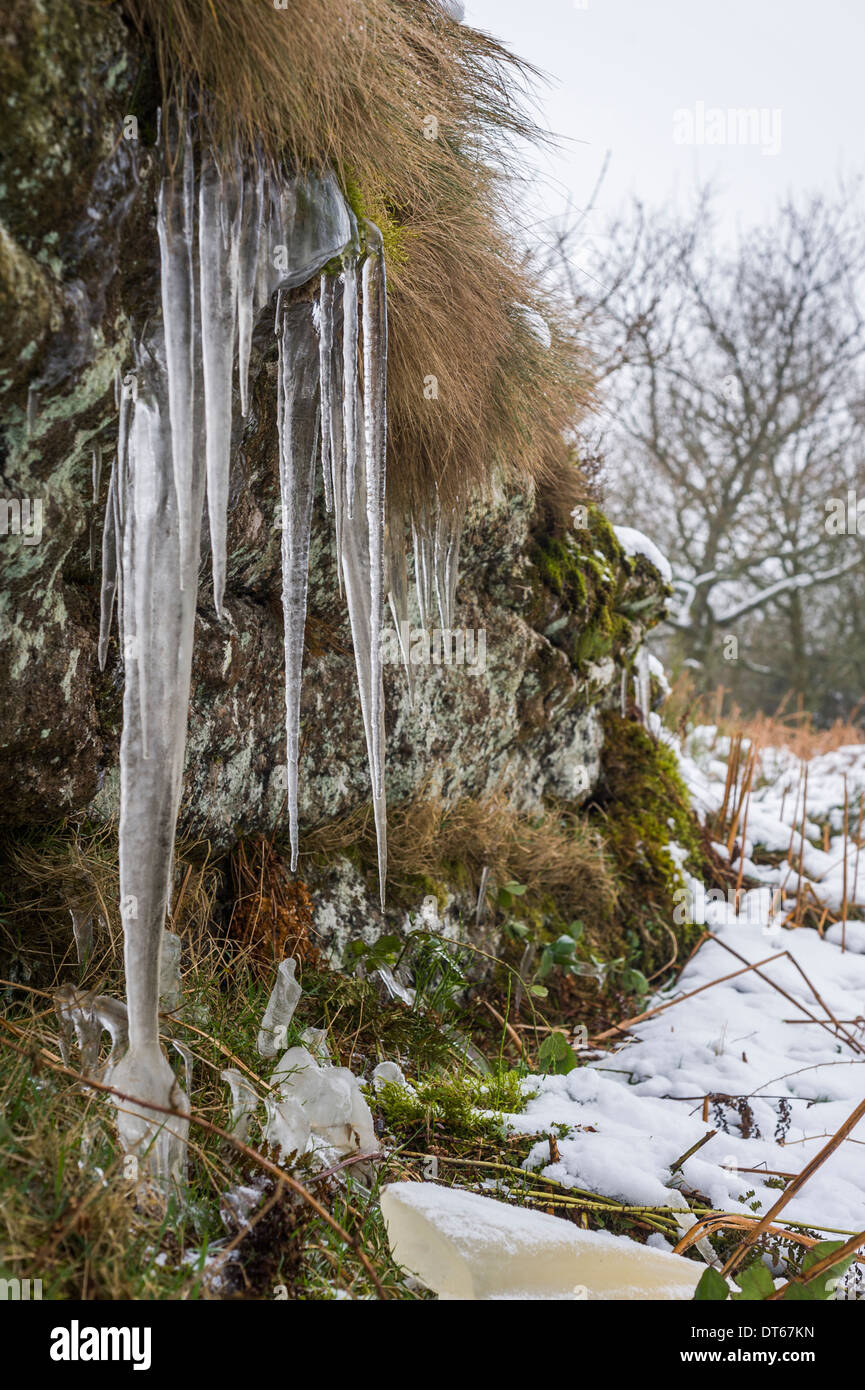 Ghiaccioli su Blackingstone Rock, Dartmoor, Devon, Regno Unito Foto Stock