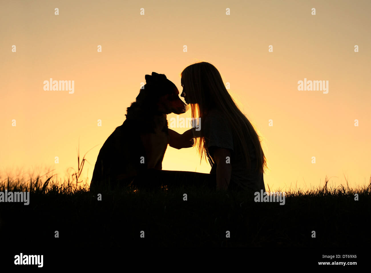Una speciale e sereno momento come una ragazza è amorevolmente abbracciando il suo Pastore Tedesco cane, stagliano contro il cielo sunsetting Foto Stock