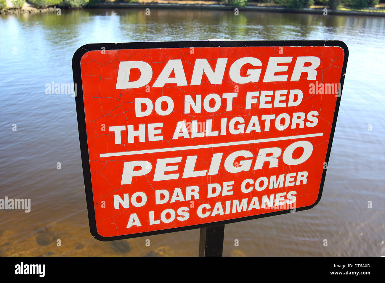 Un segno rosso sul fiume in Florida si legge: Pericolo Non alimentare il alligatori Foto Stock