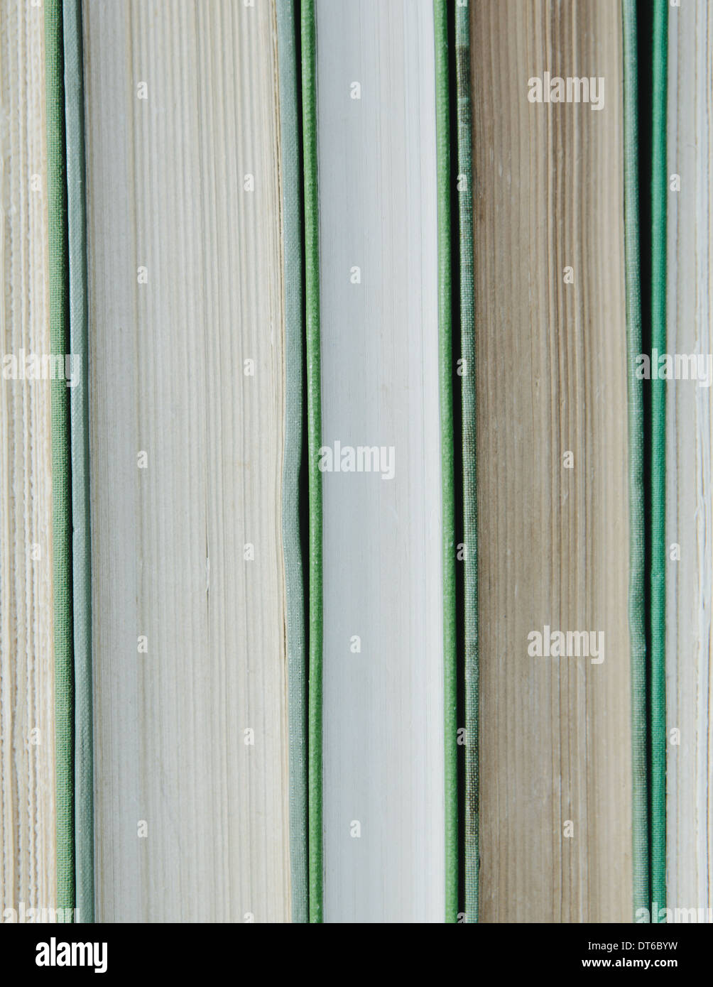 I libri in una fila, con disco verde copre e bianco e beige i bordi della carta. Foto Stock