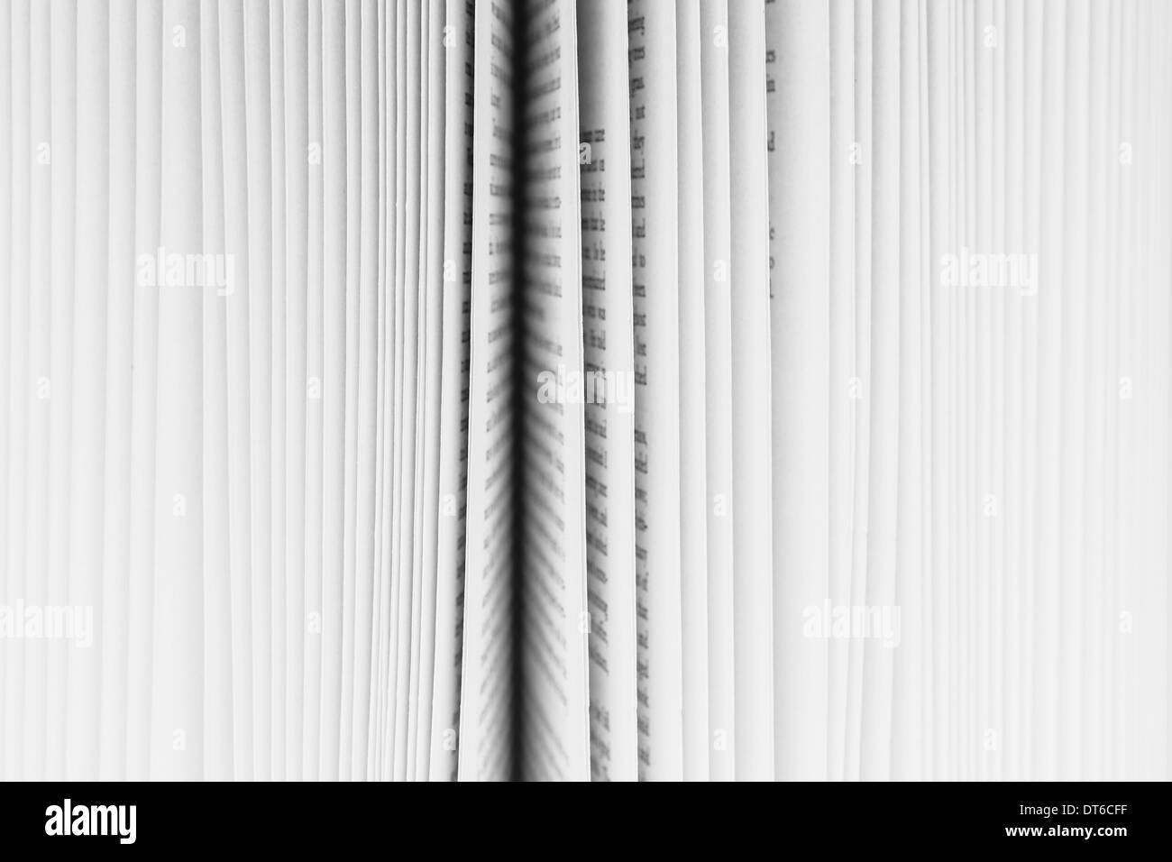 Close up di un libro con pagine leggermente ventaglio, nero con un bordo della carta nel centro. Foto Stock