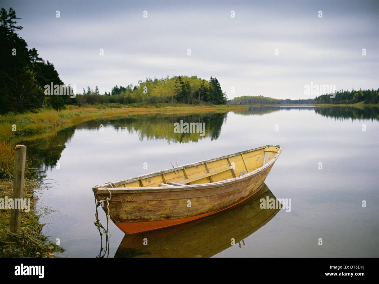 Un piccolo dory in legno o le barche a remi ormeggiate sulla calma piatta acqua, in Porto Selvaggio su Prince Edward Island in Canada. Foto Stock