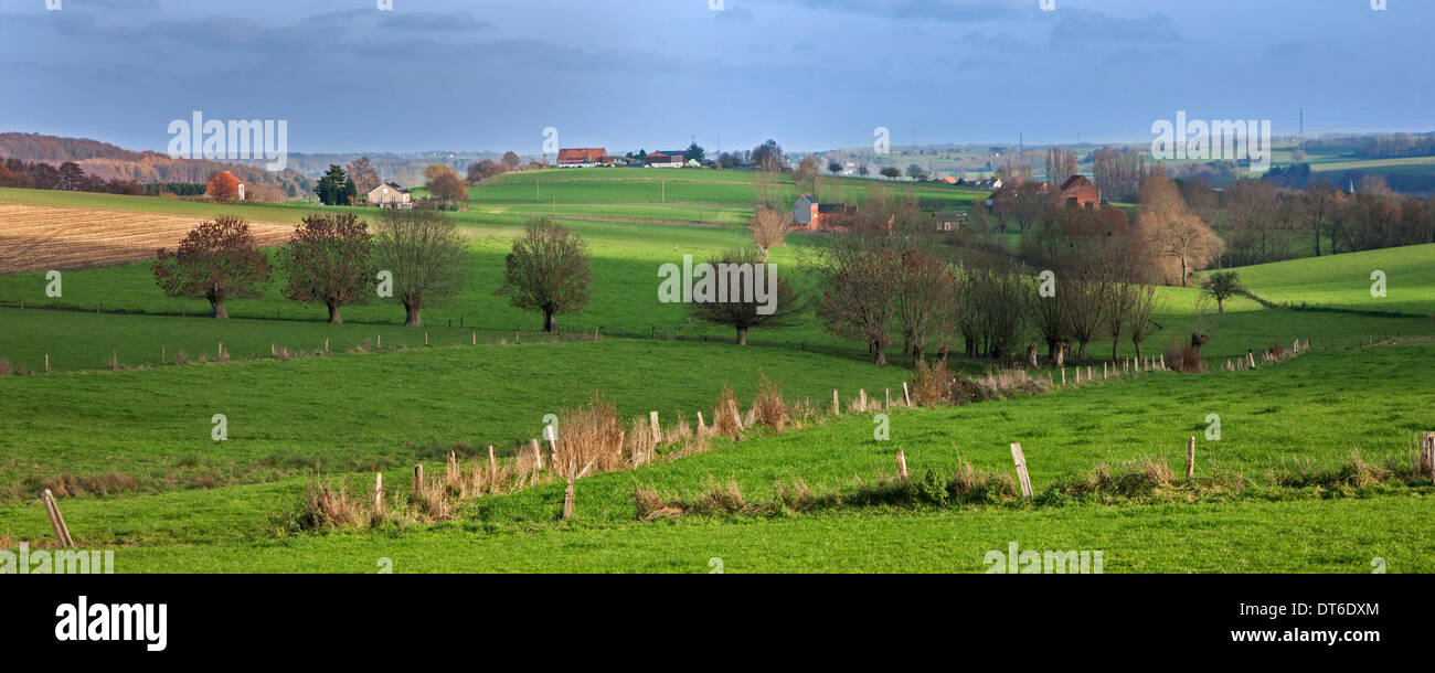 Il paesaggio agricolo che mostra i terreni agricoli nelle zone rurali del Brabante Vallone, la Vallonia, Belgio Foto Stock