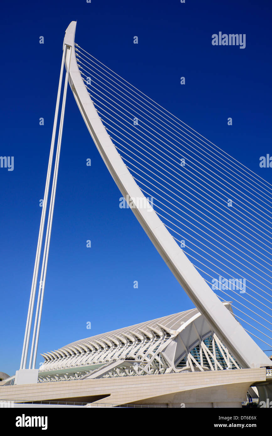 Spagna, Valencia, Città delle Arti e delle Scienze, Principe Felipe Science Museum e El Pont de l'Assut de l'o ponte di sospensione. Foto Stock