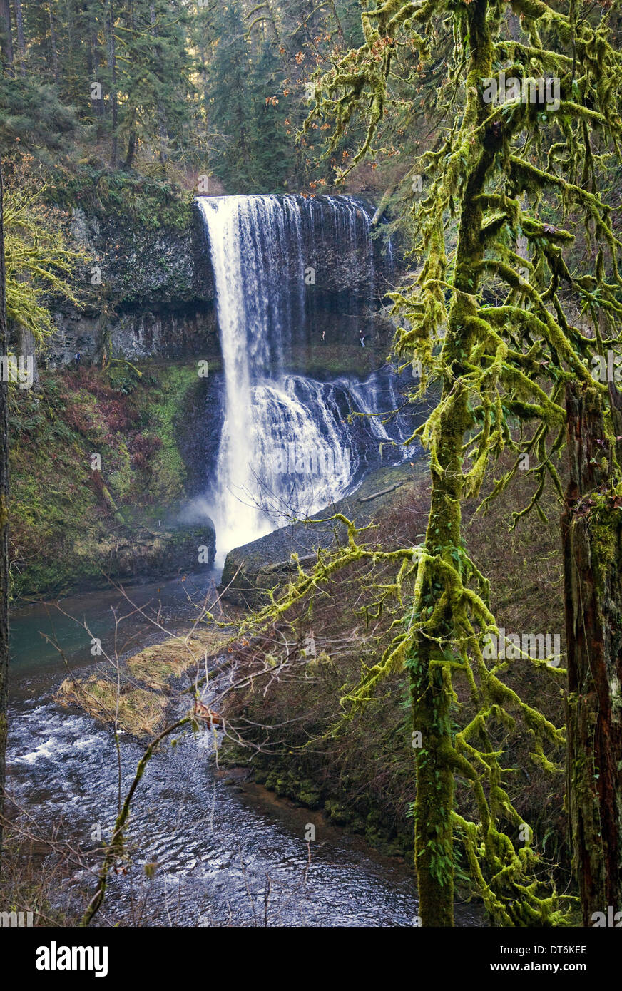 Gli escursionisti lungo il Canyon Trail a Silver Falls State Park, Oregon Foto Stock