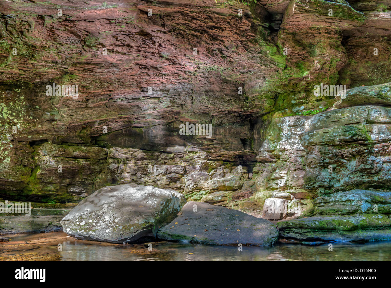 Ricketts Glen porti Glens Area Naturale, un cittadino monumento naturale, Adams cade Foto Stock