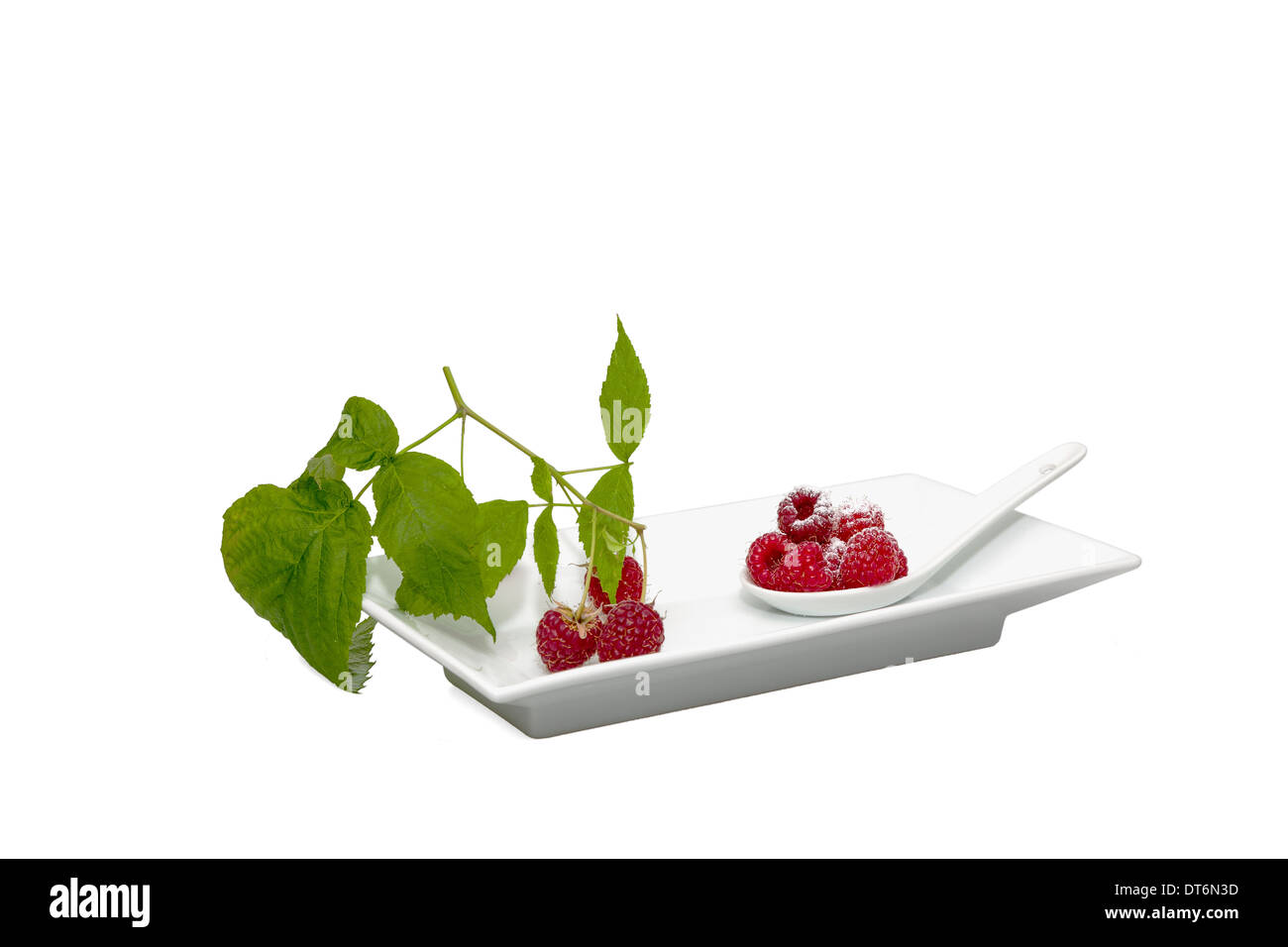 lamponi Foto Stock