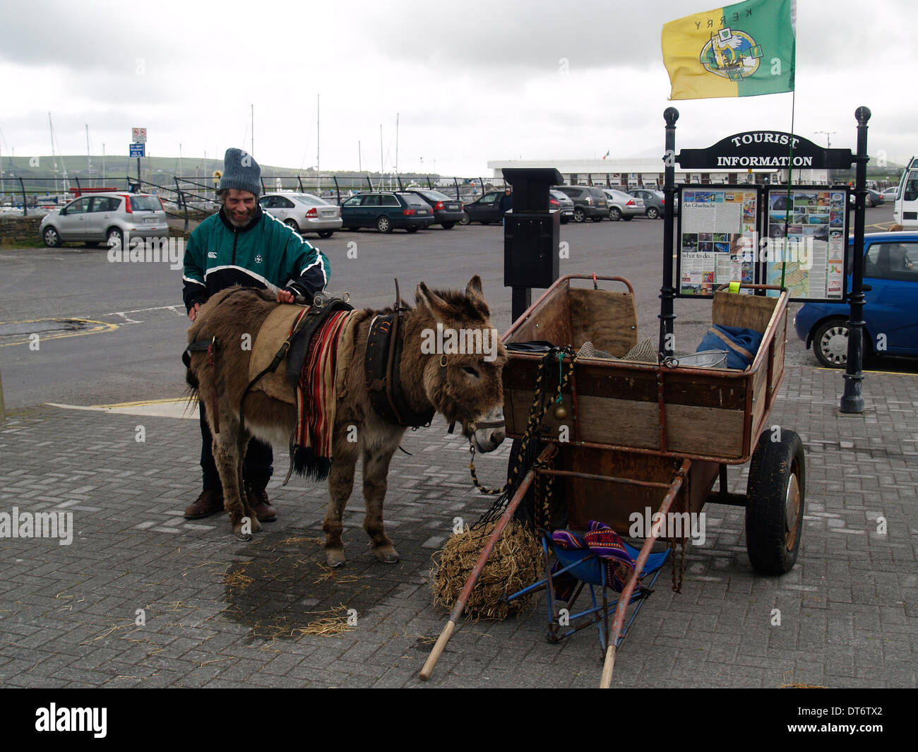 Viaggiatore irlandese con donkey & cart in Dingle,l'Eire Foto Stock