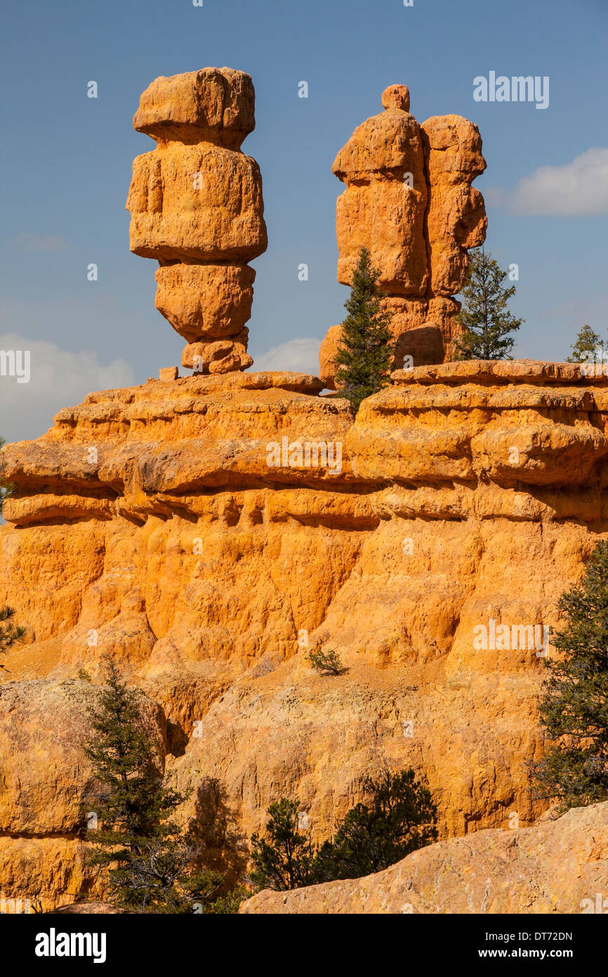 Hoodoos lungo la mensola Rosa Trail nel Red Canyon dello Utah. Foto Stock