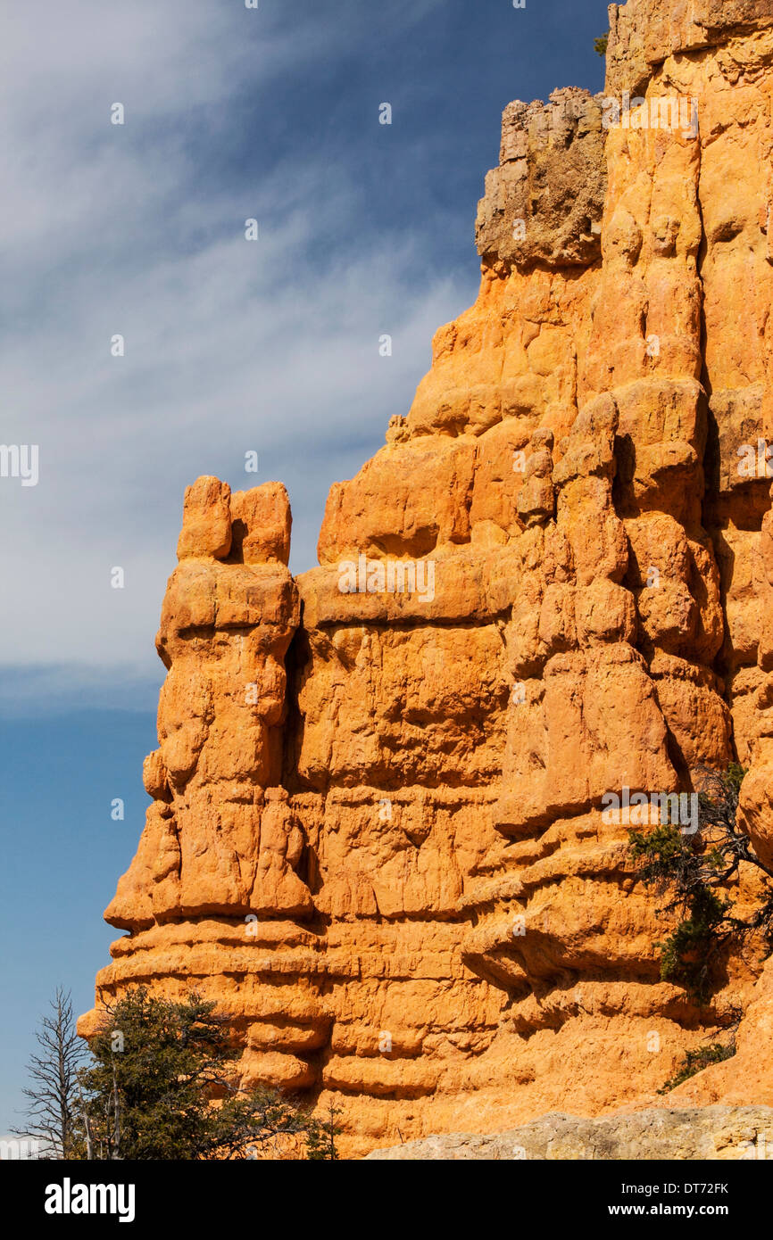 Hoodoos lungo la mensola Rosa Trail nel Red Canyon, Dixie National Forest, Utah. Foto Stock