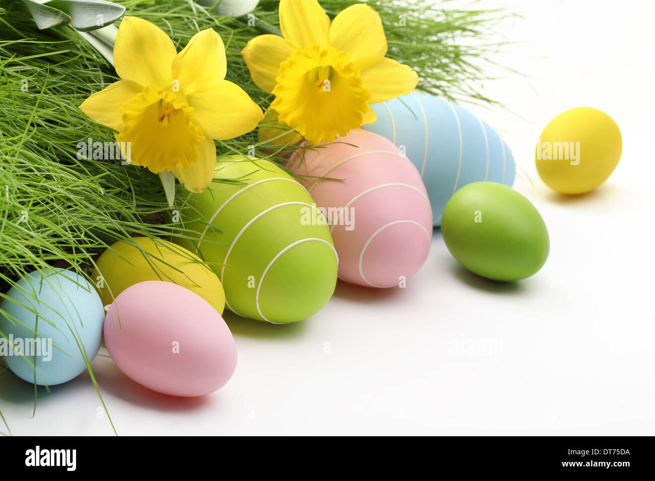 Uova di Pasqua e fresca erba verde su sfondo bianco Foto Stock