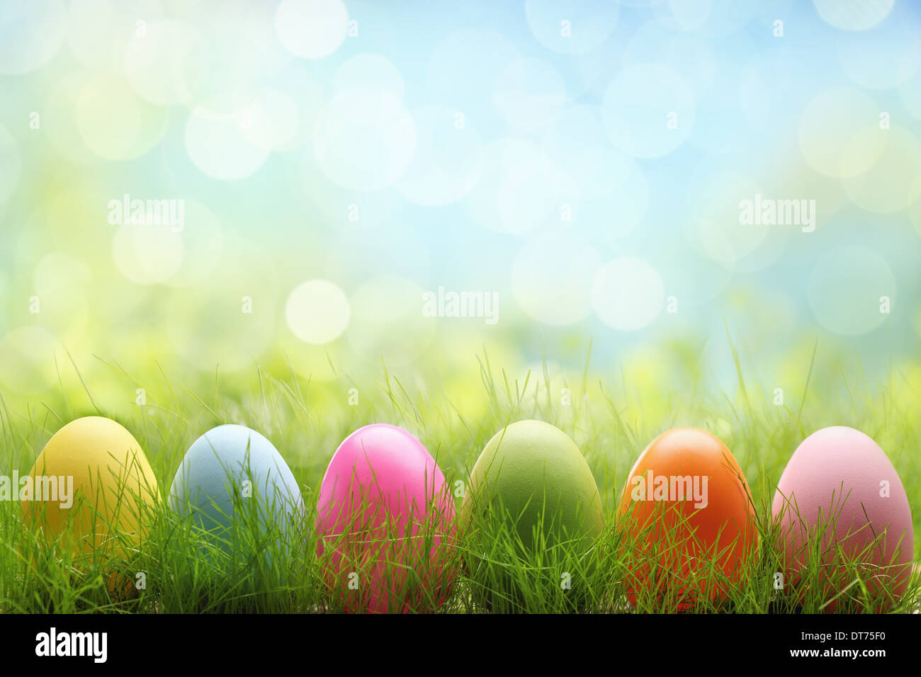 Fila di uova di Pasqua in fresco di erba verde Foto Stock