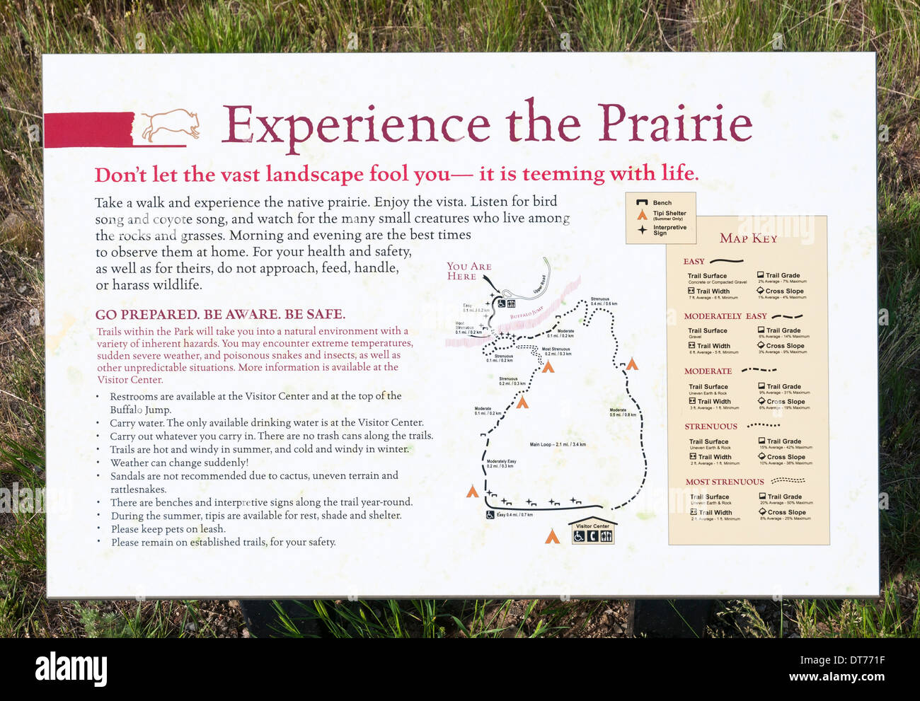 Montana, Ulm, primi popoli Buffalo Jump State Park, trail Mappa informazioni registrazione Foto Stock