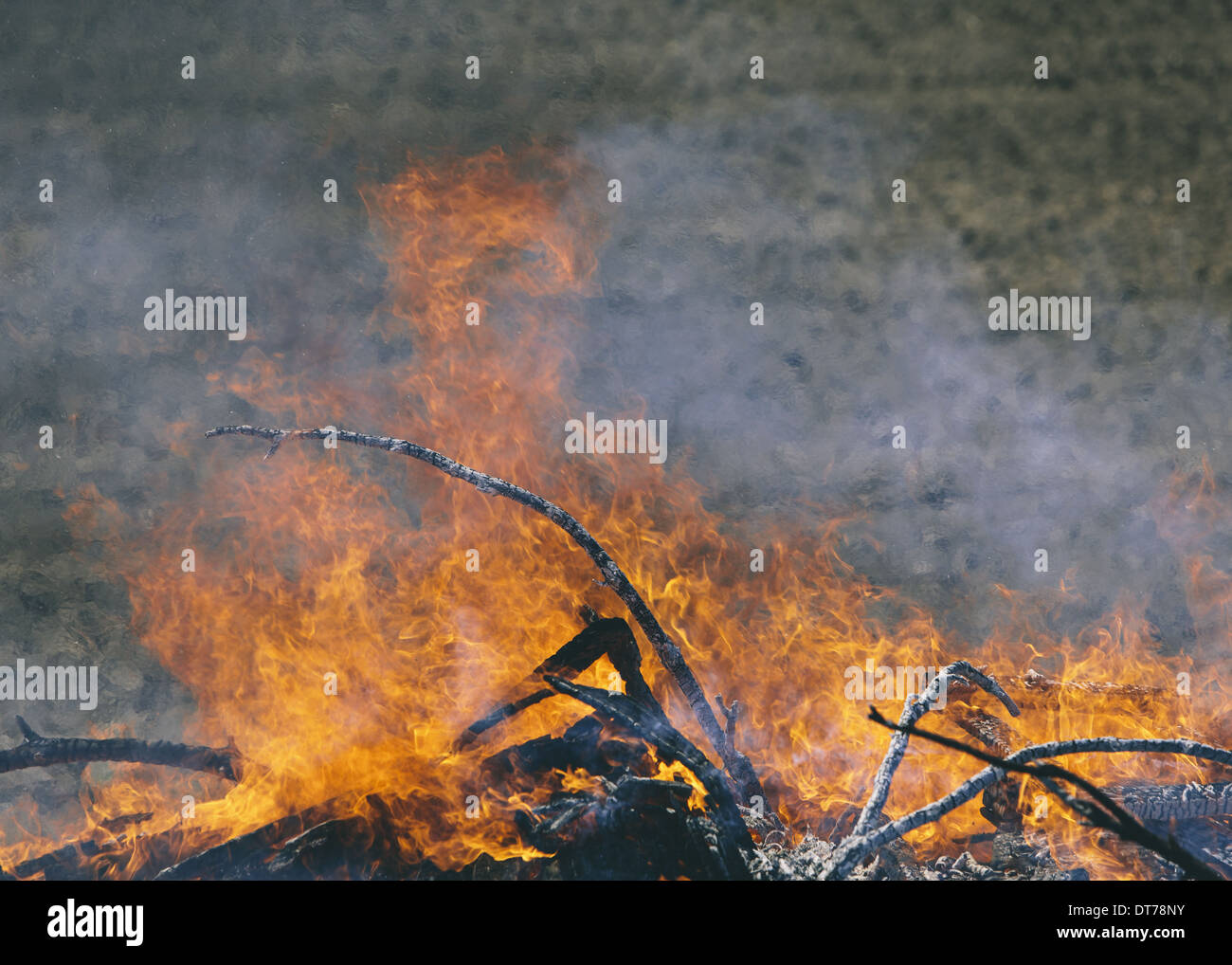 Le fiamme e il fumo che sale da un mucchio di legno bruciando furiosamente in un campo nei pressi di Pullman, Washington, Stati Uniti d'America Foto Stock