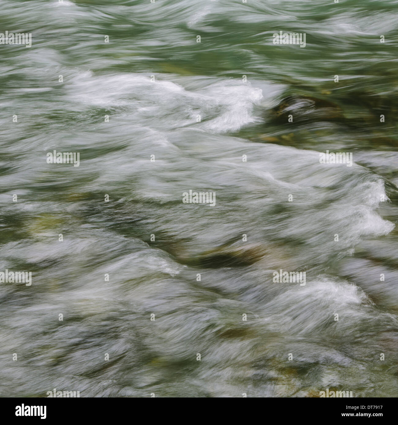 Dettaglio di un flusso di acqua di fiume, Dosewallips River, Olympic NP, WA Foto Stock