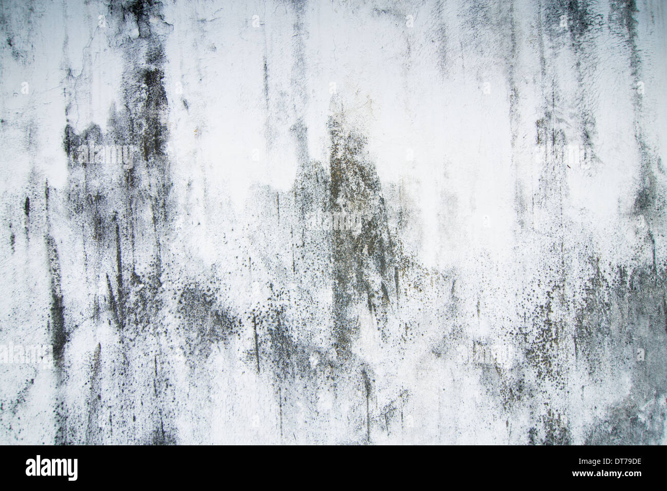 Muffa bianco e nero parete astratta texture Foto Stock