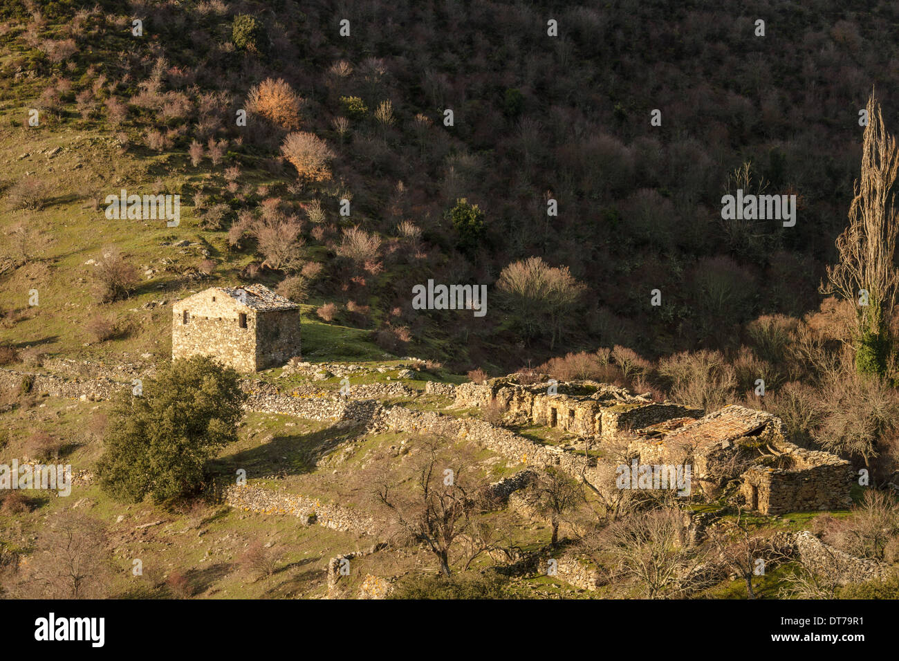Tumbled down farm rovine vicino Col de San Colombano Foto Stock
