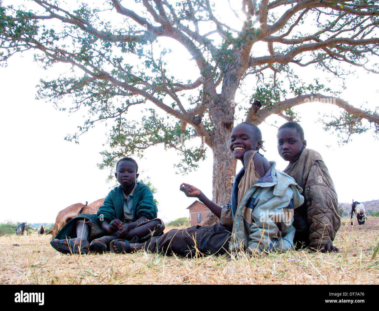 Ipjr10240167 uganda febbraio 2006 il popolo karimojong. iriiri città e area orientale del nord Uganda. Il karimojong Foto Stock