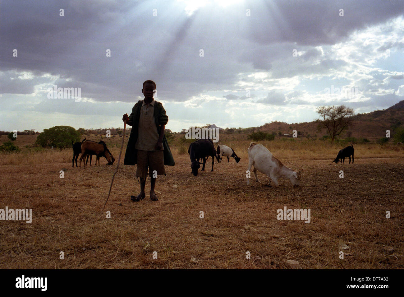 Ipjr10247918 uganda febbraio 2006 il popolo karimojong. iriiri città e area orientale del nord Uganda. Il karimojong Foto Stock