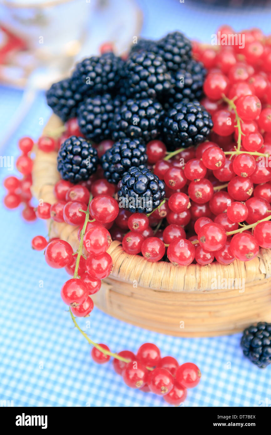 Una piastra con lamponi e ribes Foto Stock