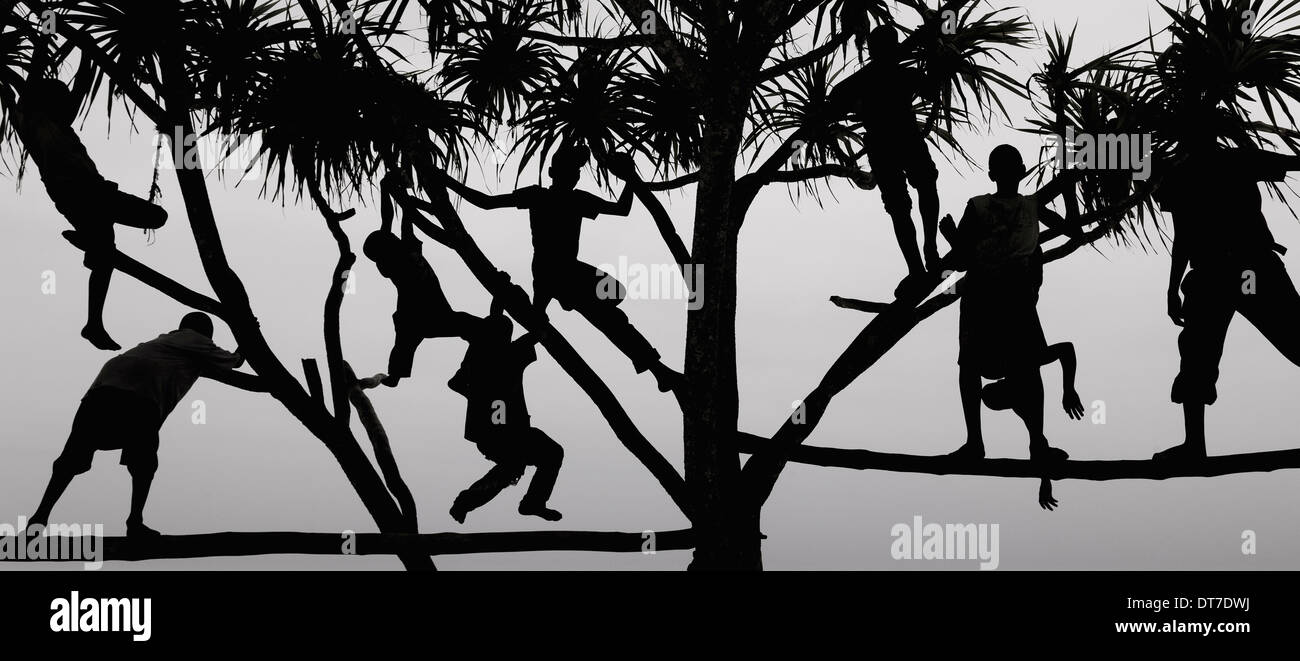 Bambini che giocano in un albero a Zanzibar stagliano contro il cielo Zanzibar Foto Stock