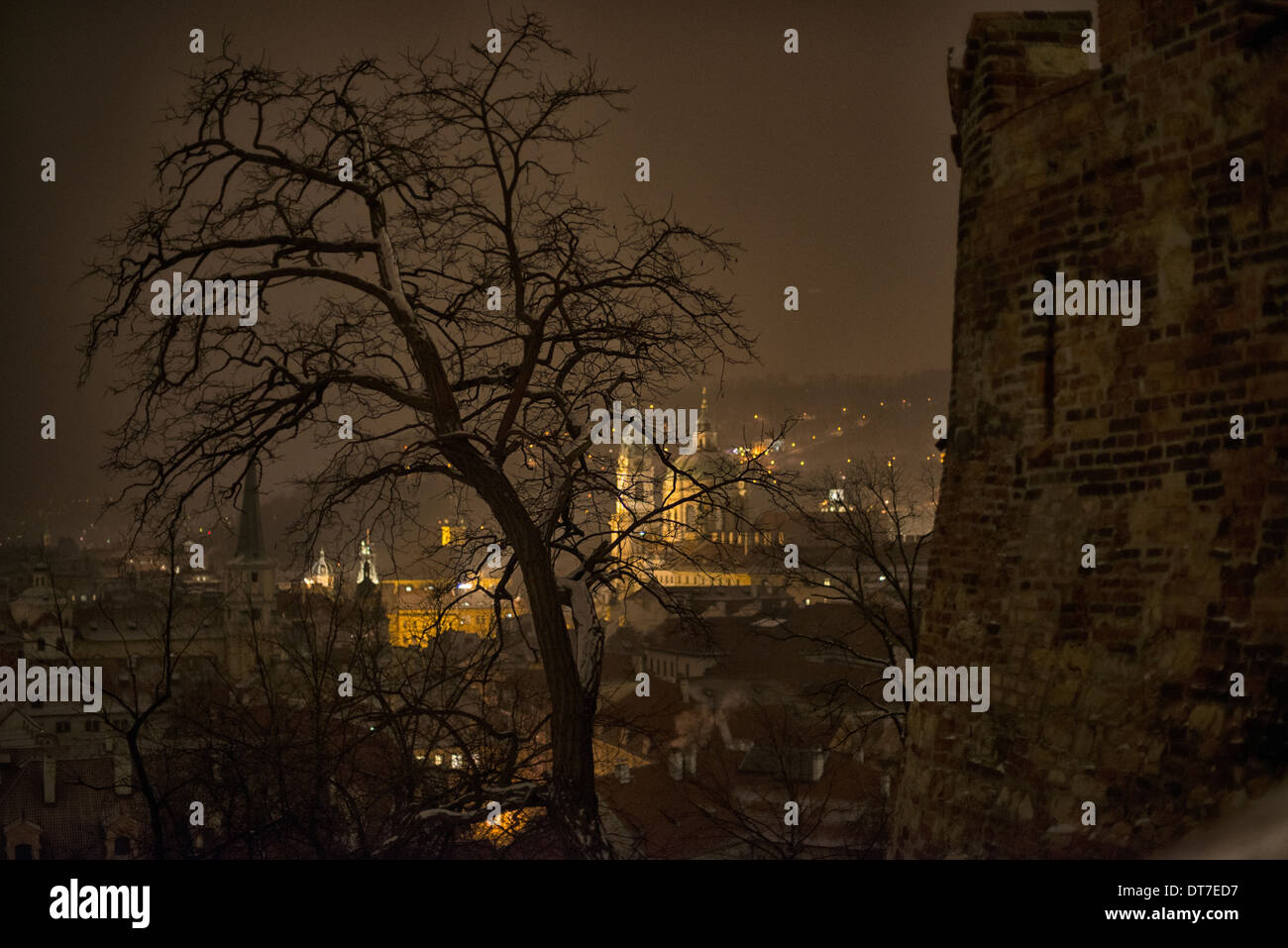 Silhouette ad albero dal castello di Praga Foto Stock