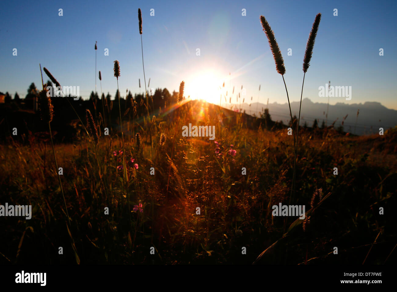 Sulle Alpi francesi. Il tramonto. Foto Stock