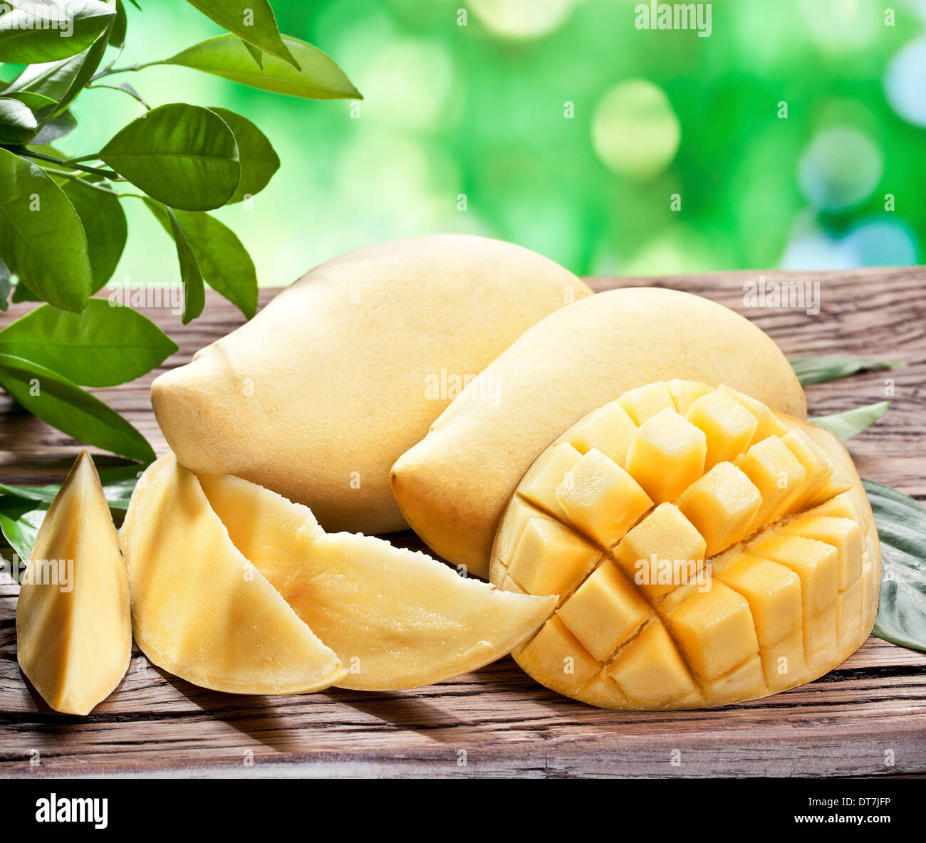 Frutti di mango, su di un tavolo di legno con fogliame verde sullo sfondo. Foto Stock