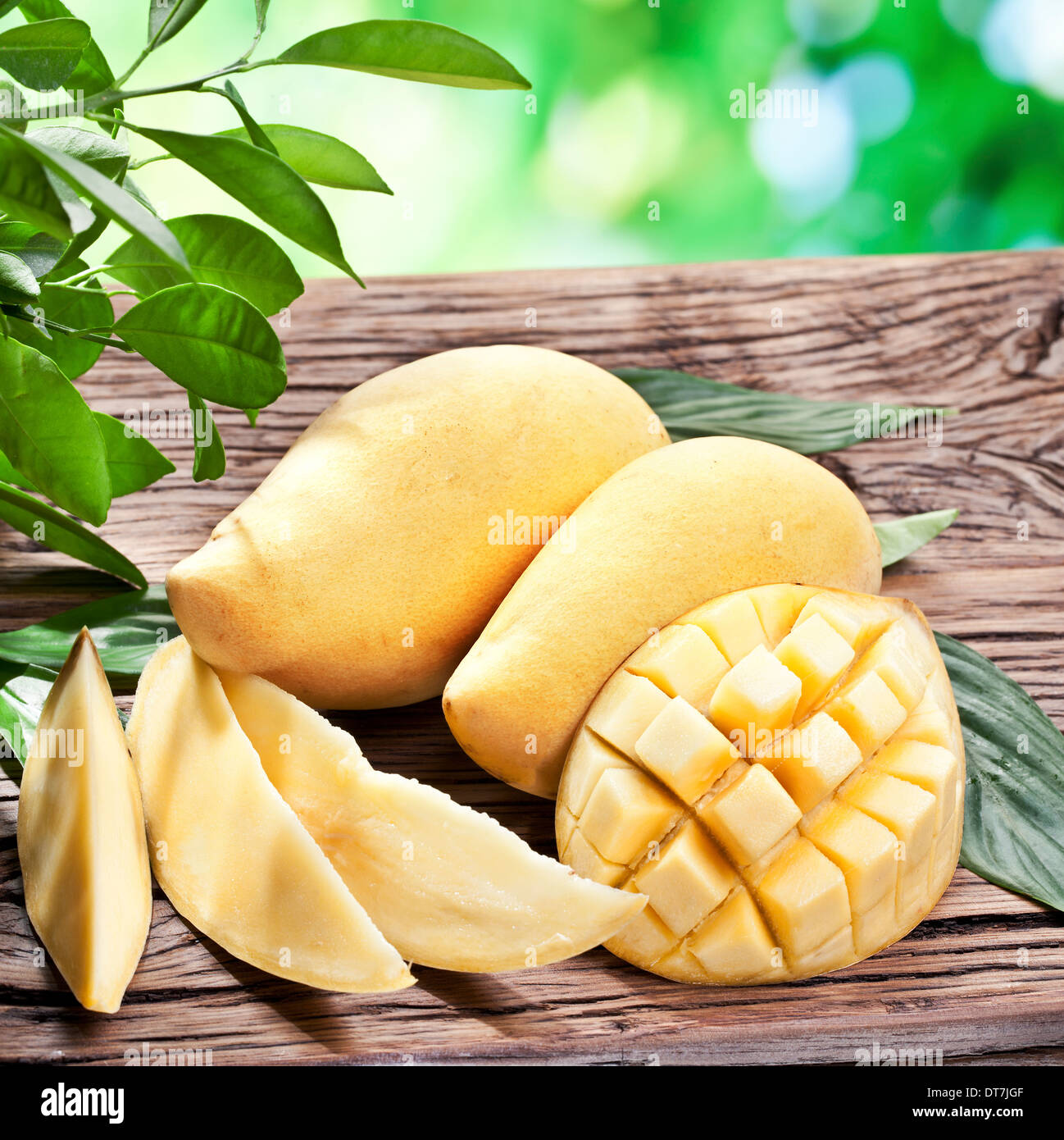 Frutti di mango, su di un tavolo di legno con fogliame verde sullo sfondo. Foto Stock