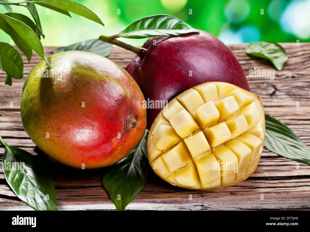 Frutti di mango, su di un tavolo di legno con fogliame verde sullo sfondo. Foto Stock