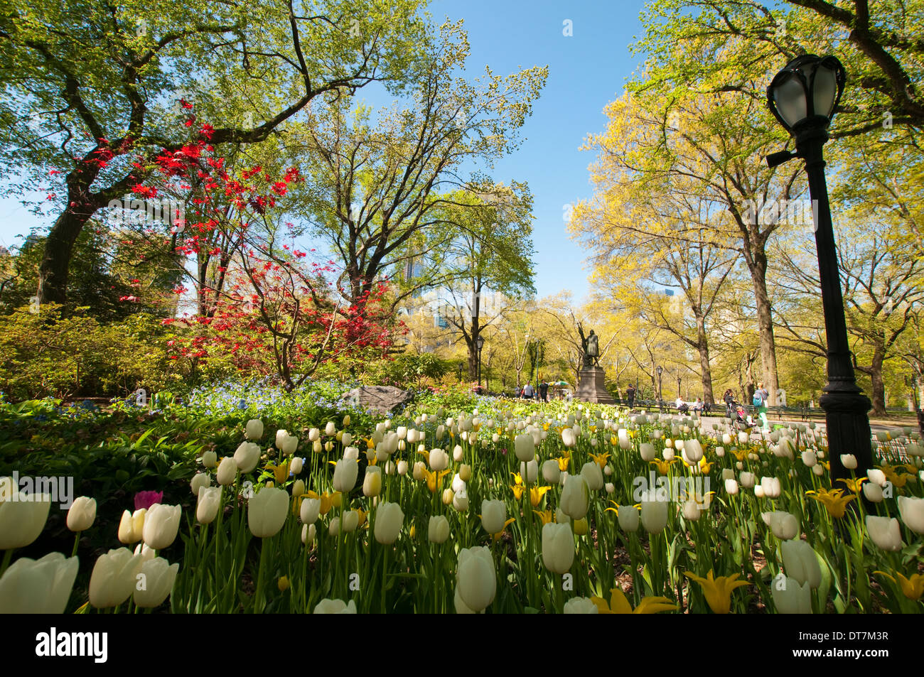 Primavera sul Mall in Central Park di New York City STATI UNITI D'AMERICA Foto Stock