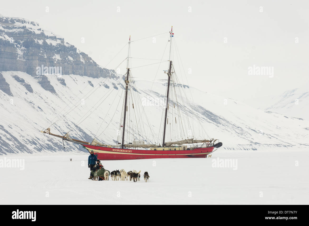 Sled Dog racing team lontano dal Noorderlicht 'Ship nel ghiaccio", tempio fiordo (Tempelfjorden), Spitsbergen, arcipelago delle Svalbard, Norvegia Foto Stock