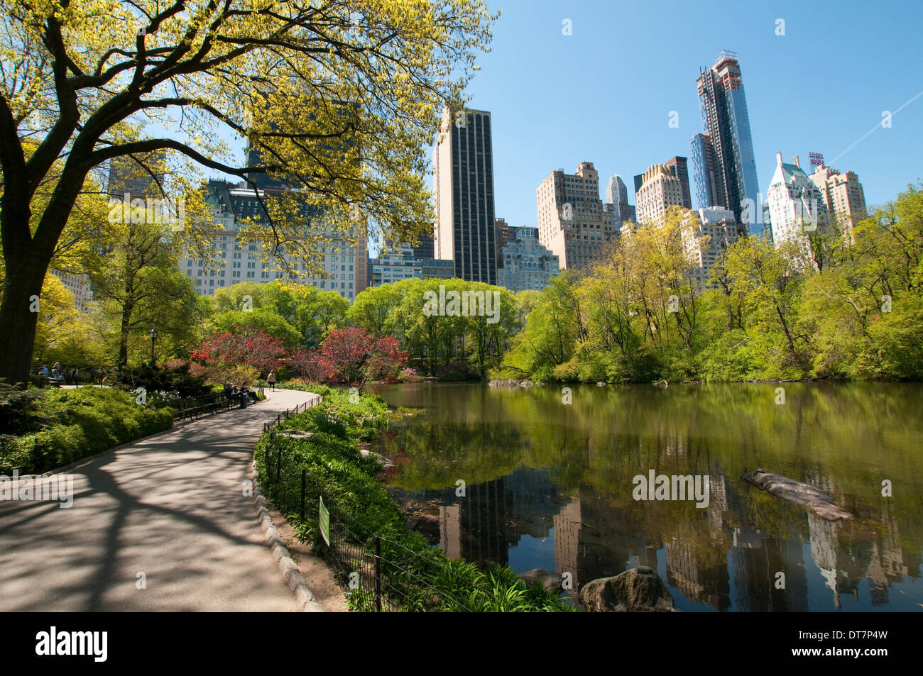 Riflessi nello stagno su una soleggiata giornata di primavera nel Central Park di New York City STATI UNITI D'AMERICA Foto Stock