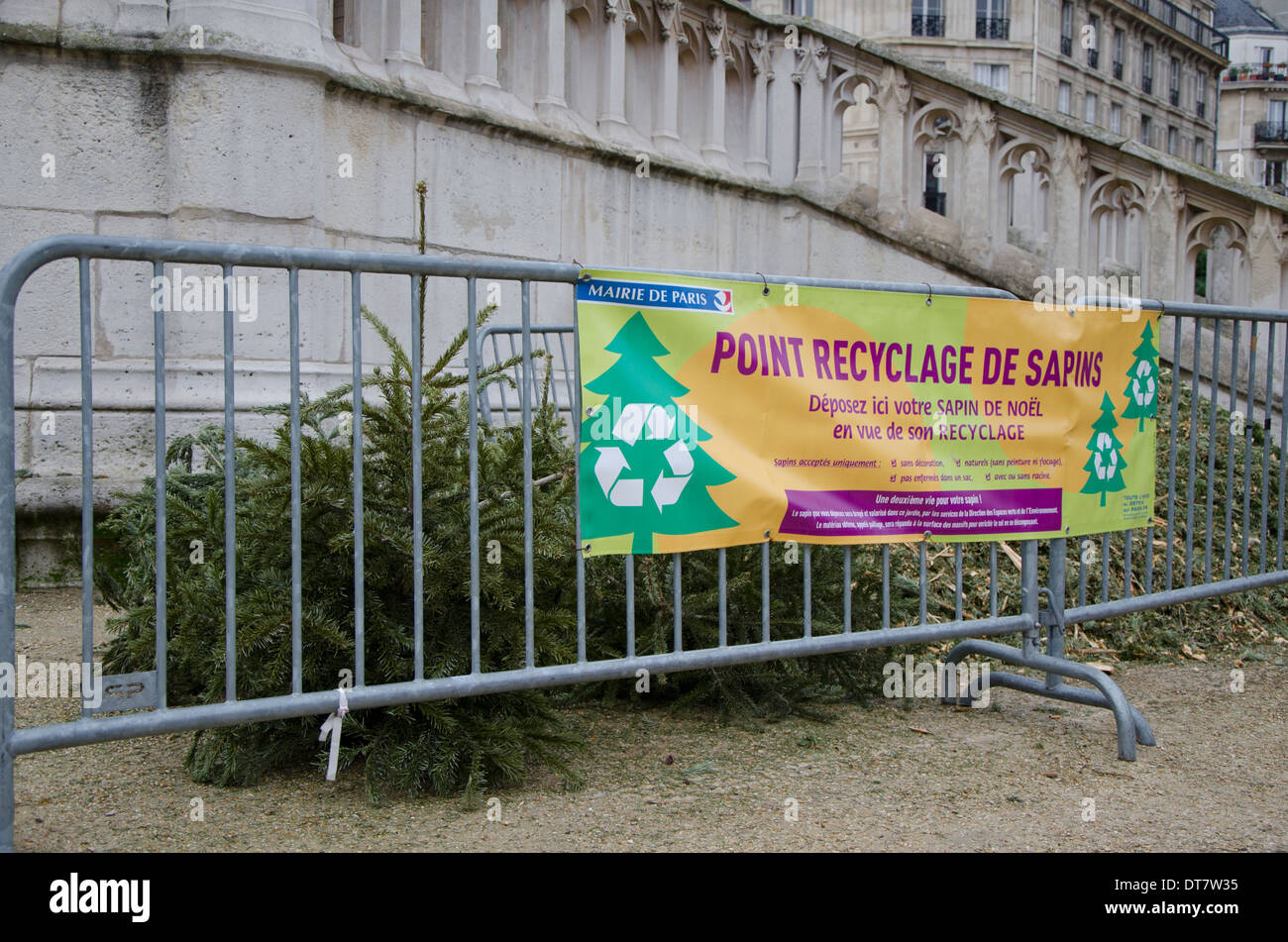 Punto di raccolta di vecchi alberi di Natale per il riciclaggio a Parigi, Francia. Foto Stock