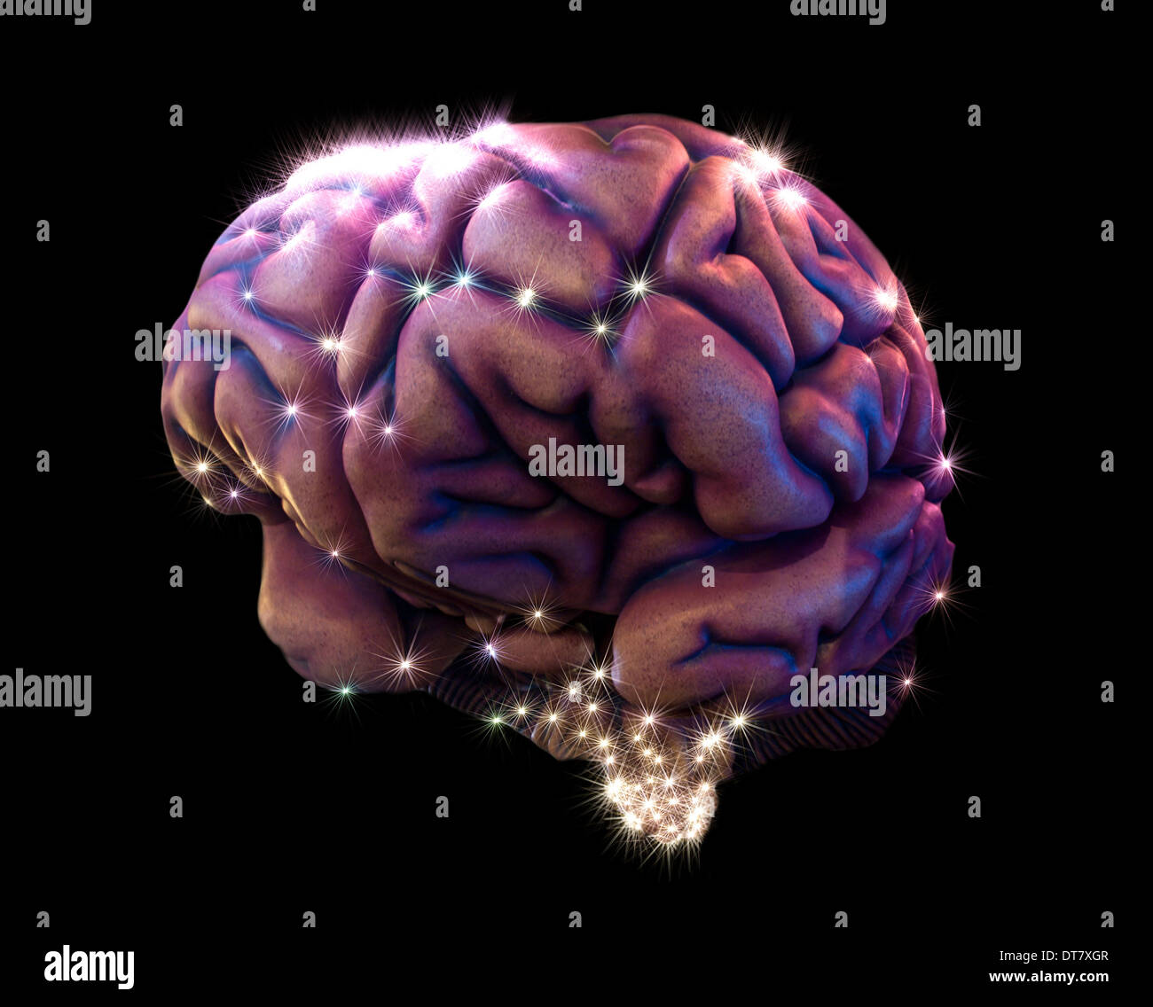 Cervello umano raffigurazione con neurotrasmettitori Foto Stock