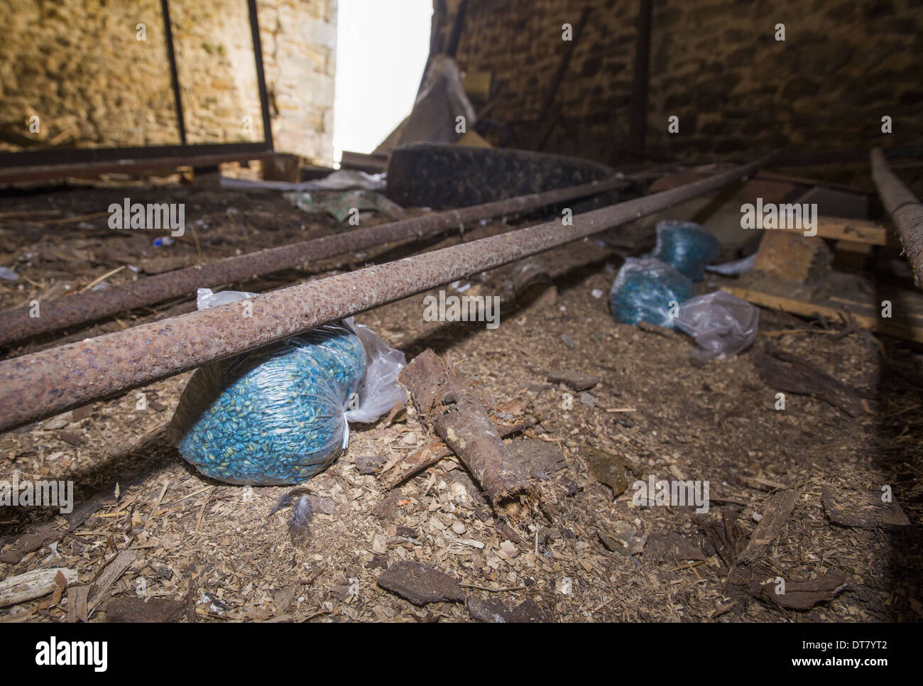 I ratticidi irresponsabilmente posto senza coprire la fornitura di pericolo per i bambini e gli animali di fattoria Whitewell Lancashire Foto Stock