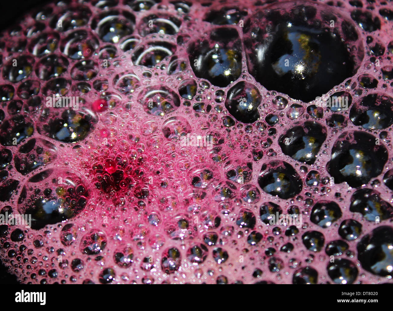 Abstract, sfondo, bella, bellezza, nero, blu, bolle, chiudere closeup, Tarassaco, dettaglio, rugiada, drip, a goccia goccia, env Foto Stock