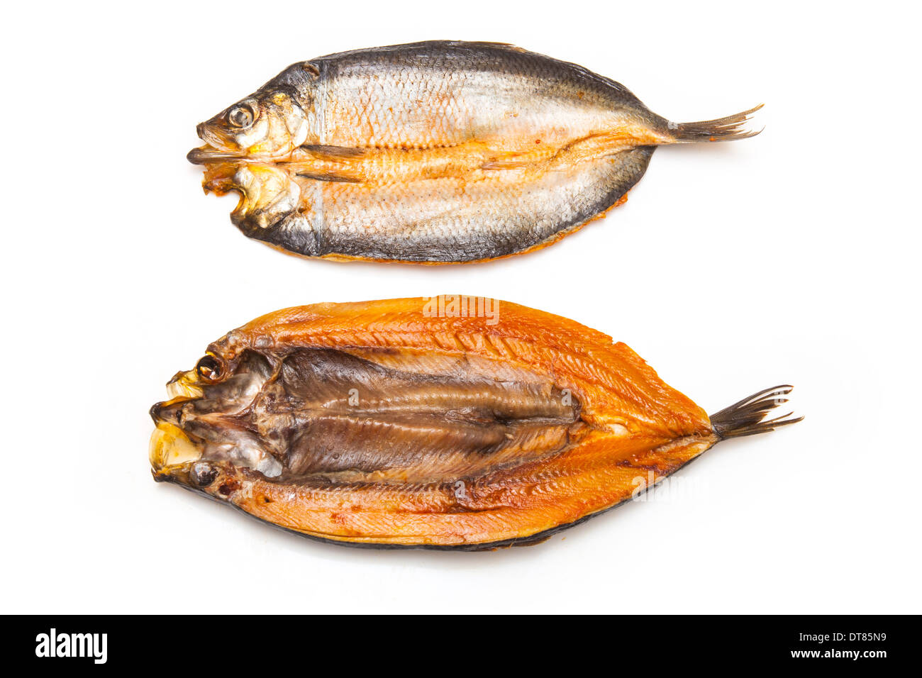 Con salmone isolato su un bianco di sfondo per studio. Foto Stock