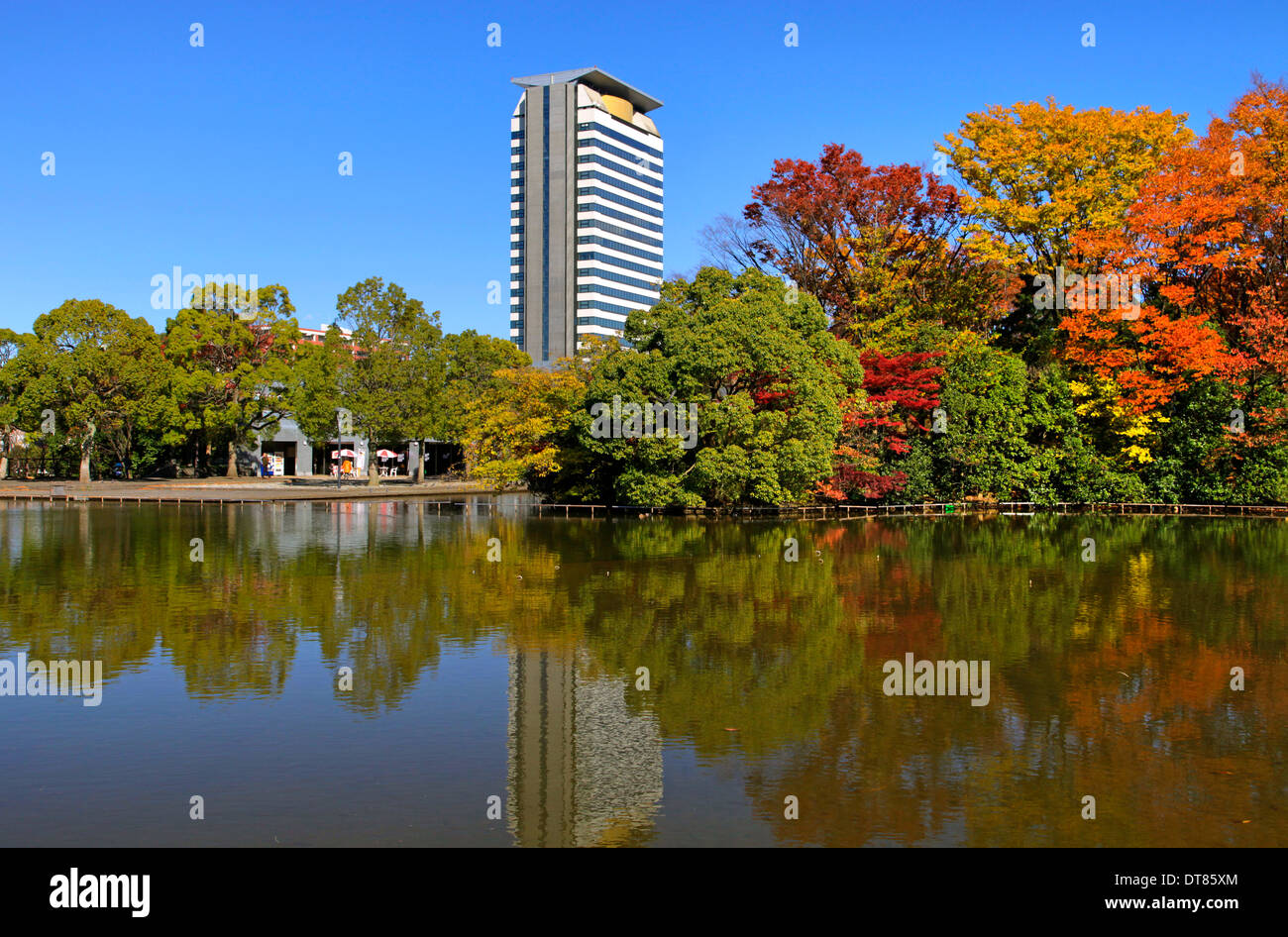 Parco Tama-Chuo autunno scena Tokyo Giappone Foto Stock