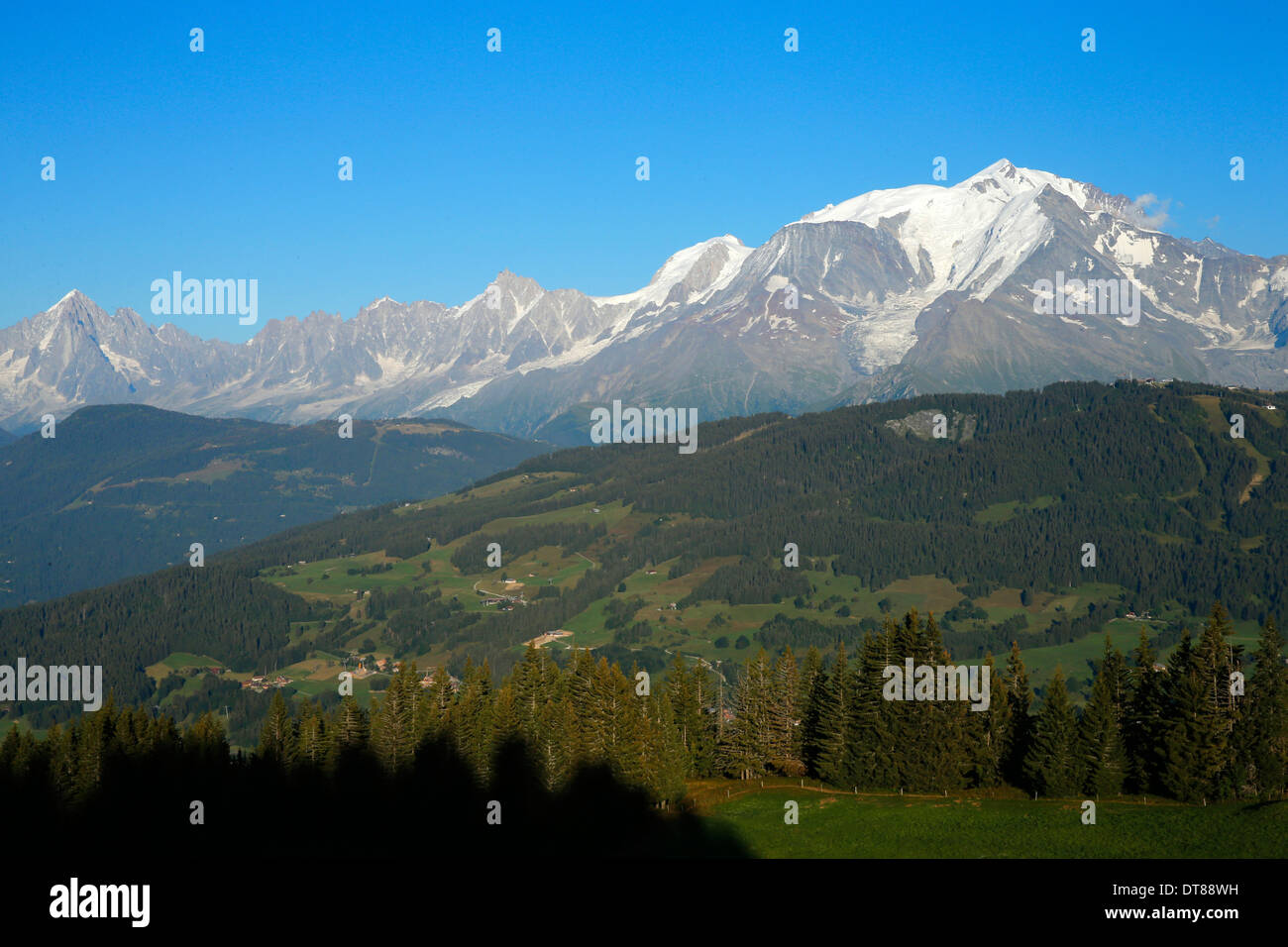 Sulle Alpi francesi. Massiccio del Monte Bianco Foto Stock