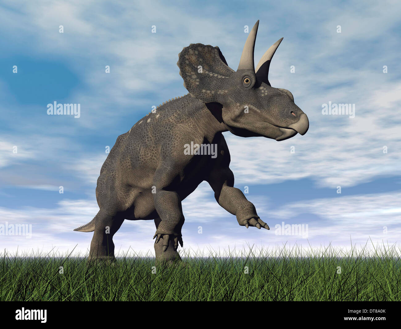 Dinosauro Nedoceratops pascolare nel campo erboso. Foto Stock