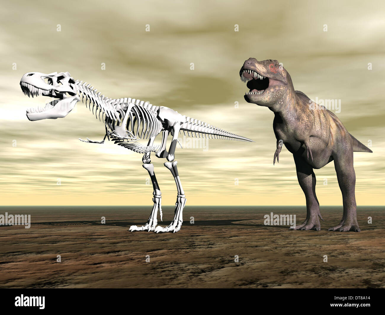 Confronto del Tyrannosaurus Rex in piedi accanto al suo scheletro fossile. Foto Stock