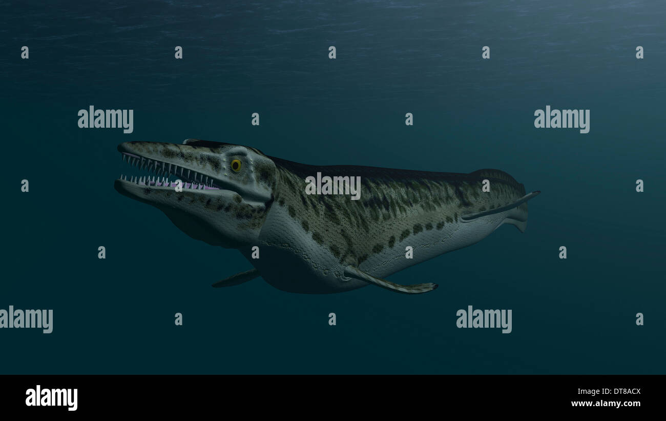 Mosasaur nuoto in acque preistoriche. Foto Stock