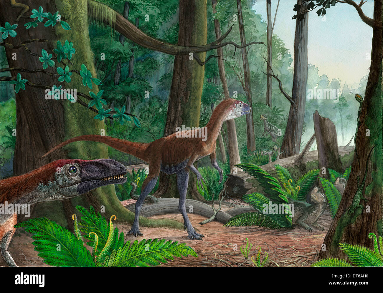 Dilong paradoxus passeggiare per i boschi alla ricerca di cibo. Foto Stock