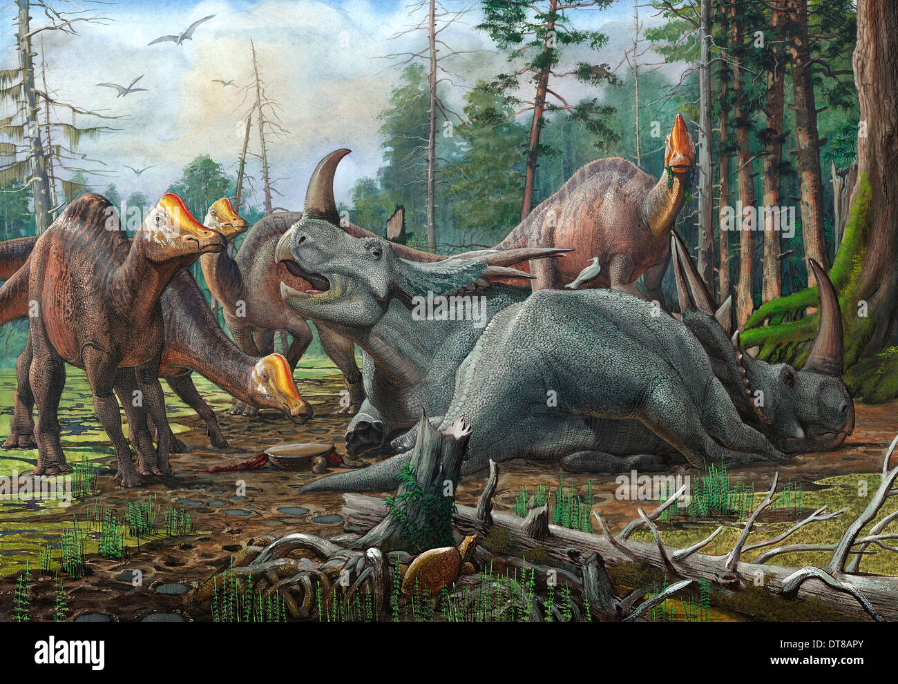 Un gruppo di giovani dinosauri Hypacrosaurus approccio un paio Rubeosaurus ovatus ceratopsians rilassante nei boschi. Foto Stock