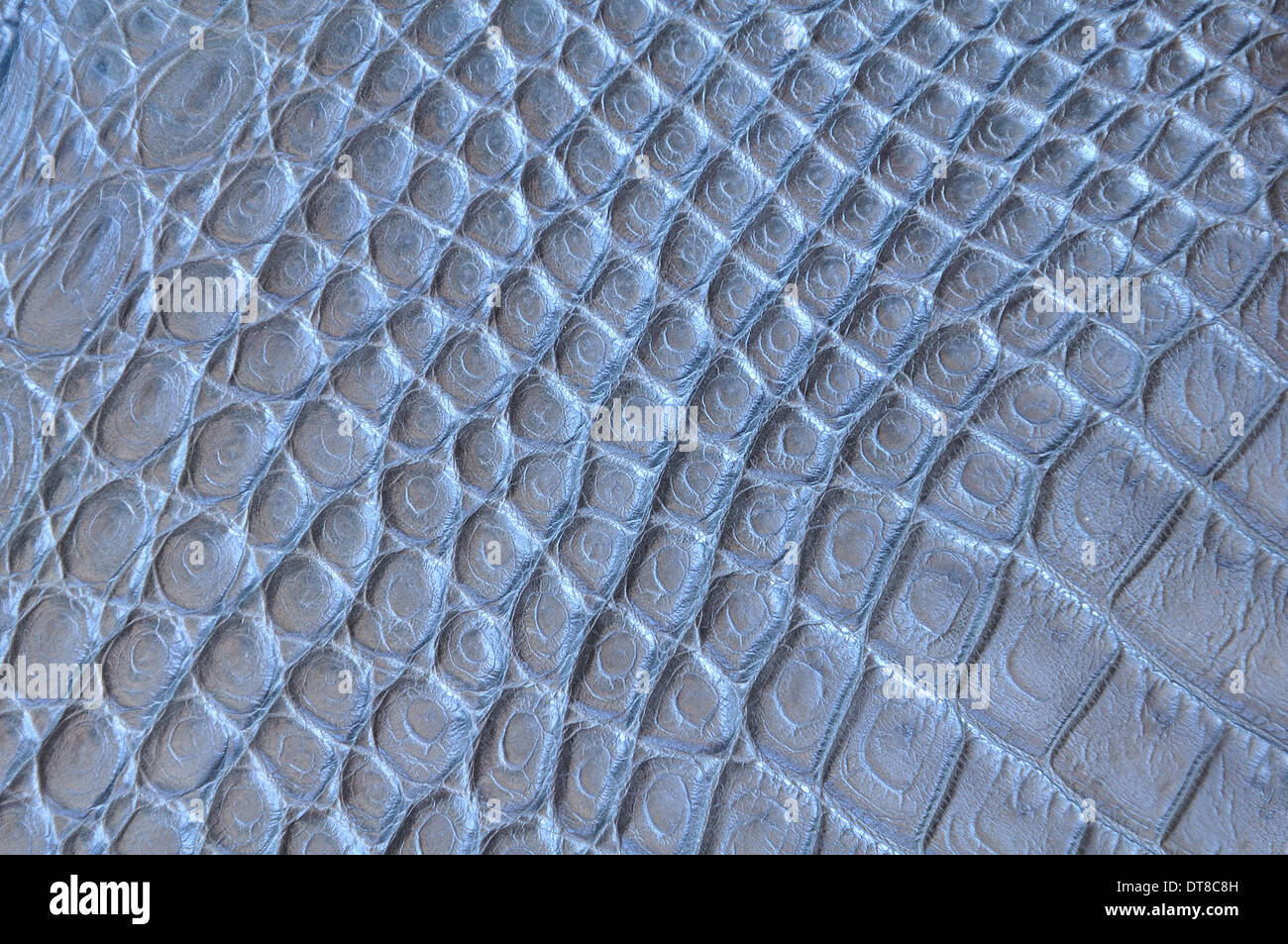Pelle di coccodrillo pattern Foto Stock