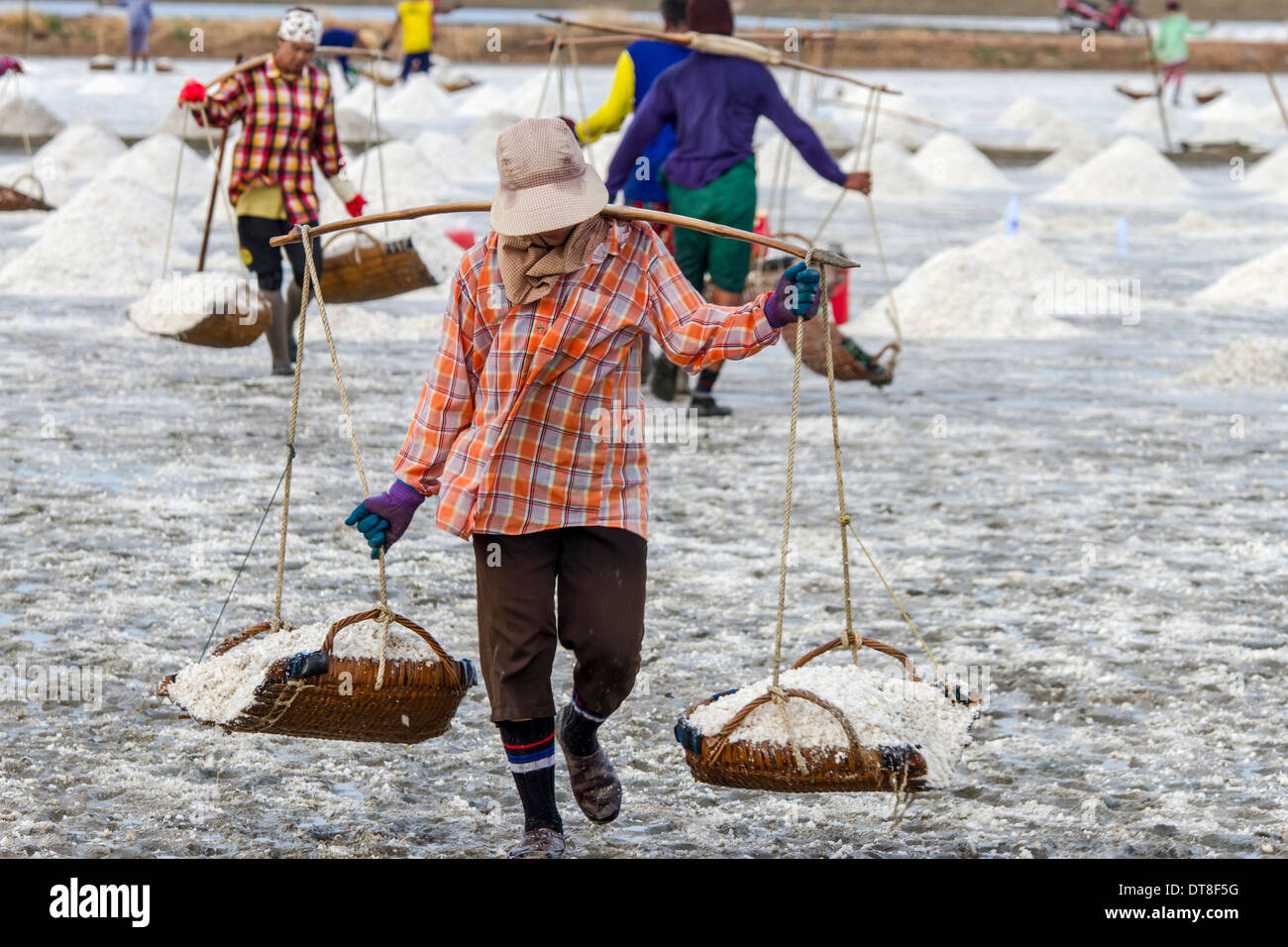 I lavoratori di raccogliere il sale nella fattoria di sale in Petchaburi seaside farm, Thailandia Foto Stock