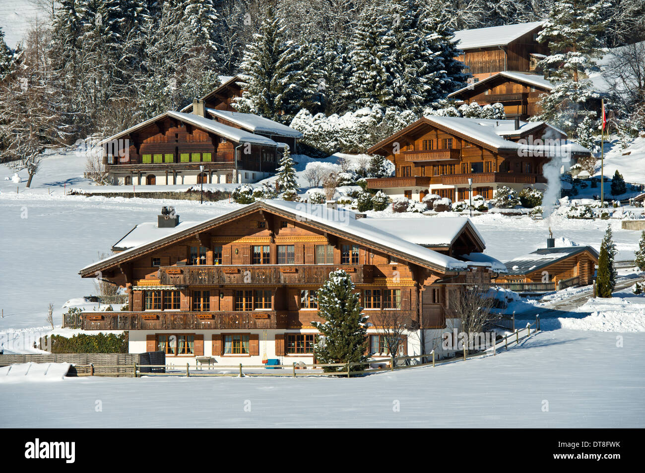 Chalet svizzeri nel paesaggio winterly del Saanenland, Schoenried, cantone di Berna, Svizzera Foto Stock